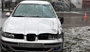 Wjechał seatem w dwa konie. Jeźdźcy trafili do szpitala, jeden z nich był pijany