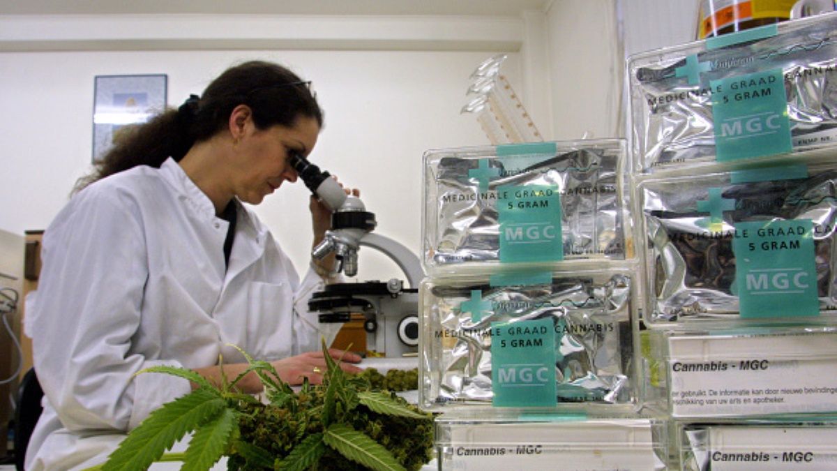 Amerykańscy naukowcy doszli do wniosku, że palenie marihuany wpływa na większą skłonność do podejmowania prób samobójczych