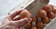 Zabraknie jaj przed Wielkanocą? Jest komunikat
