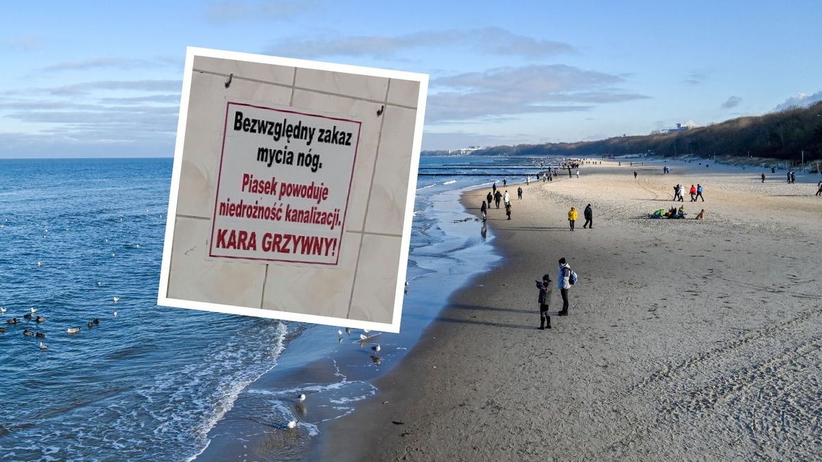Niemieckie media piszą o tabliczce w polskiej toalecie
