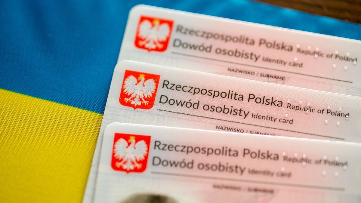 Stock Arkadiusz Zi�?ek
fot: Arkadiusz Ziolek/ East News.    n/z Dowody osobiste na tle flagi Ukrainy.
ARKADIUSZ ZIOLEK