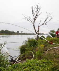 Jak Polska może poradzić sobie z suszą? Zgorzelski: Nie mamy polityki retencyjnej