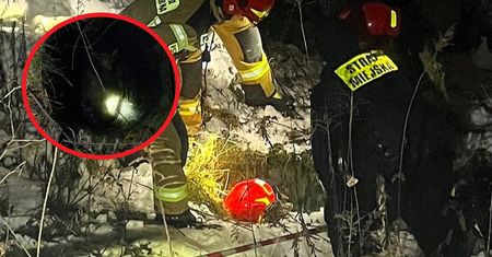 Mieszkaniec Krakowa zajrzał do studni i zdębiał. Wezwał służby