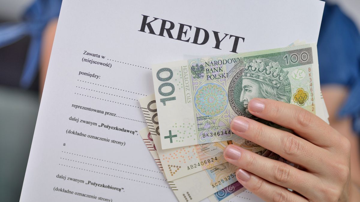 kredyt, cit, vat, pożyczka, bank, polska, polskie, zloty, banknoty, konto, umowa, alimenty, praca, wydatki, mieszkanie, zakupy, życie, kara, podatek, pit, sklep, market, portfel, 500, izolowany