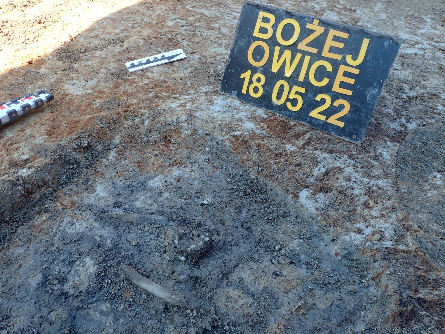 grób nieznanego żołnierza w Bożejowicach