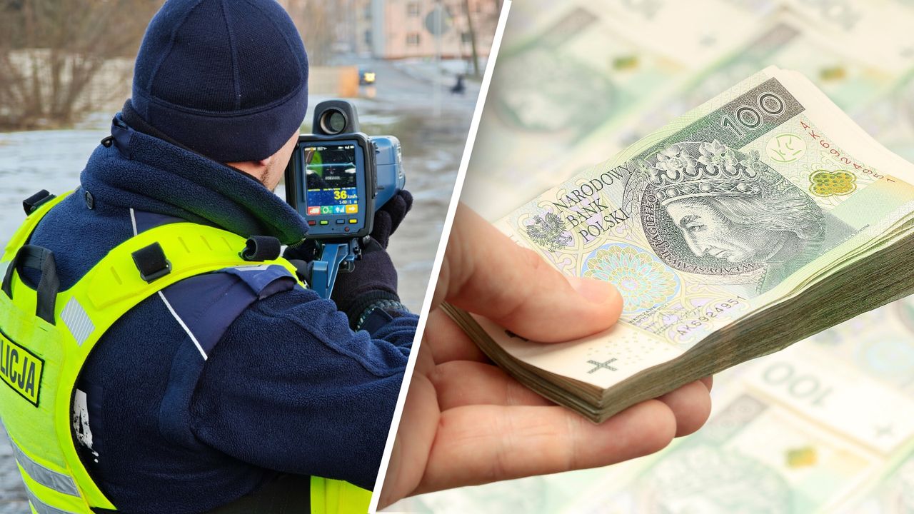 Żyła złota dla budżetu? Oto cała prawda o mandatach w Polsce