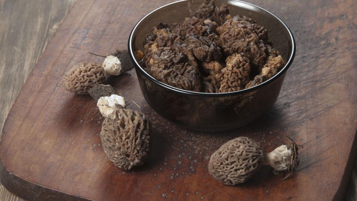 Kobieta zatruła się grzybami i umarła 