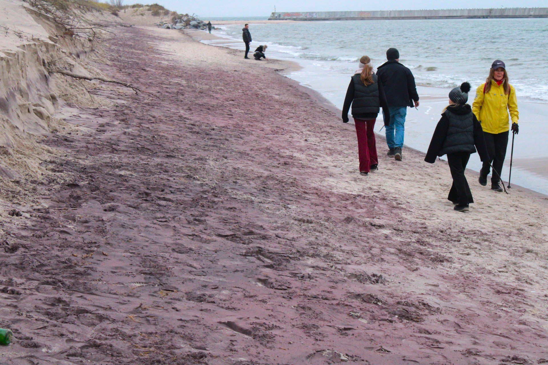 Fioletowa plaża w Mielnie