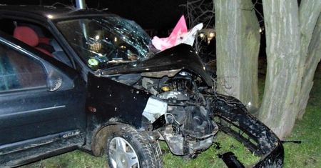 Wrocław. Po pijaku wjechał w drzewo. Miał prawie 2 promile alkoholu