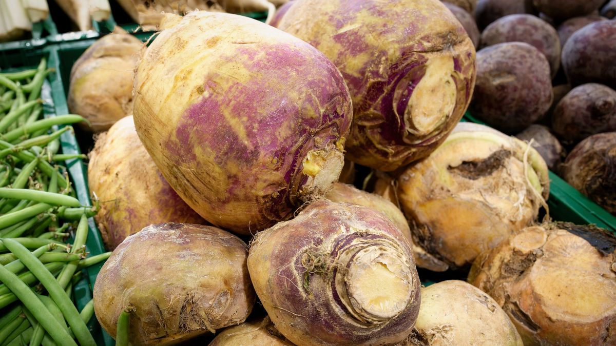 Rzepa to nieco zapomniane, ale pełne wartości odżywczych warzywo