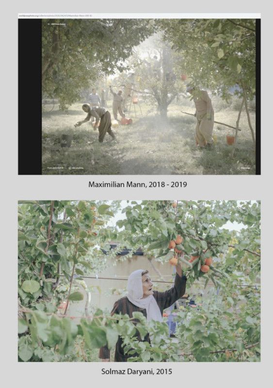 Czy Maximillian Mann splagiatował projekt na World Press Photo 2020? 4