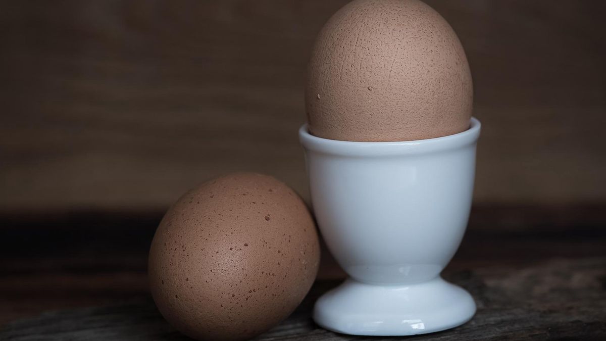 Zdjęcie ilustracyjne 