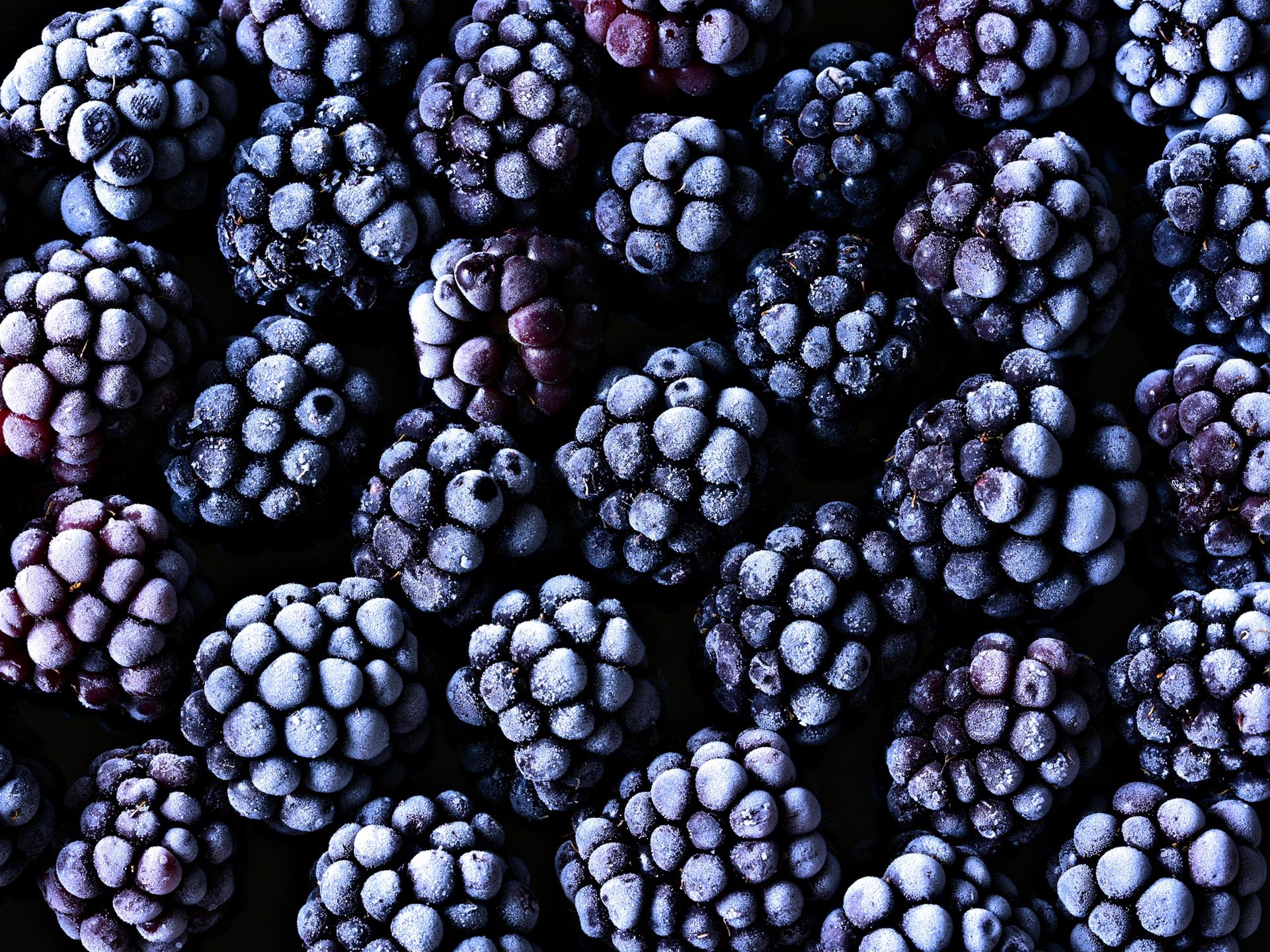 Frozen Blackberries
Full frame image of frozen fresh blackberries
Photo by Cathy Scola