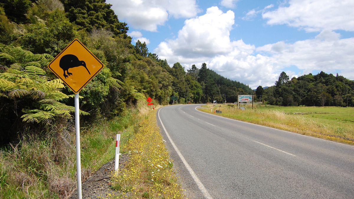 Znak ostrzegający przed kiwi z depositphotos