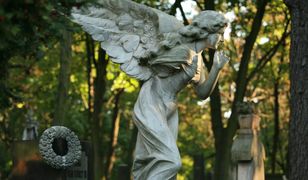 Wyjątkowe cmentarze w Polsce. Które warto odwiedzić?