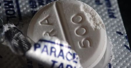 Natura zadziwia. Bakteria przekształca plastikowe odpady w paracetamol