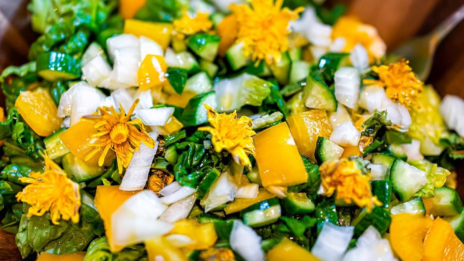 Główne właściwości zdrowotne mniszka lekarskiego