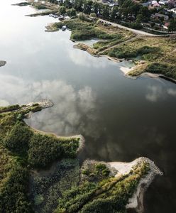 Jack-Pol wydał oświadczenie. "Jesteśmy wstrząśnięci i zaskoczeni"