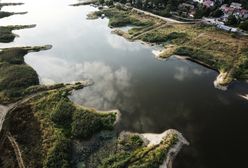 Jack-Pol wydał oświadczenie. "Jesteśmy wstrząśnięci i zaskoczeni"