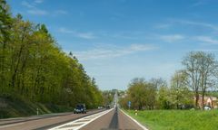 Wycinka drzew przy drodze budzi emocje. Stawką inwestycja