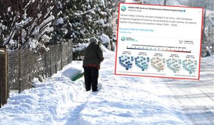 Pogoda długoterminowa. Chłodny styczeń? CMM-IMGW: Jest szansa