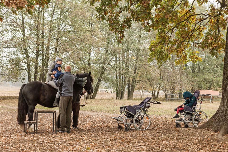 Konie to jedyna szansa terapii dla nieuleczalnie chorych dzieci
