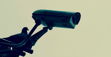 Monitoring w Chinach niesłusznie ukarał kobietę, bo rozpoznał jej twarz na reklamie