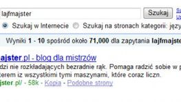 Użyteczne dodatki do Internet Explorer 7 1