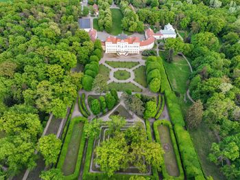 Turystyczne skarby Wielkopolski. Rogaliński Park Krajobrazowy i Pałac w Rogalinie – takie miejsca warto znać!