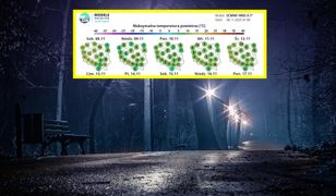 Kiepska prognoza pogody na długi weekend. Mgły i deszcz