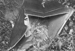 Chłopiec z pudełka. Makabryczna tajemnica z przeszłości