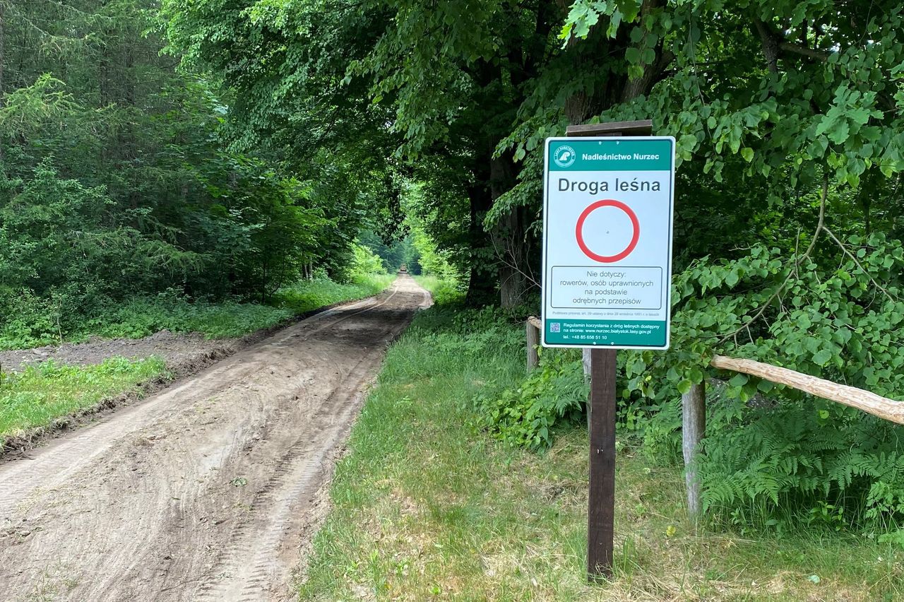 W lasach państwowych na drogach leśnych już dość często pojawiają się znaki, które jednoznacznie zakazują wjazdu.  