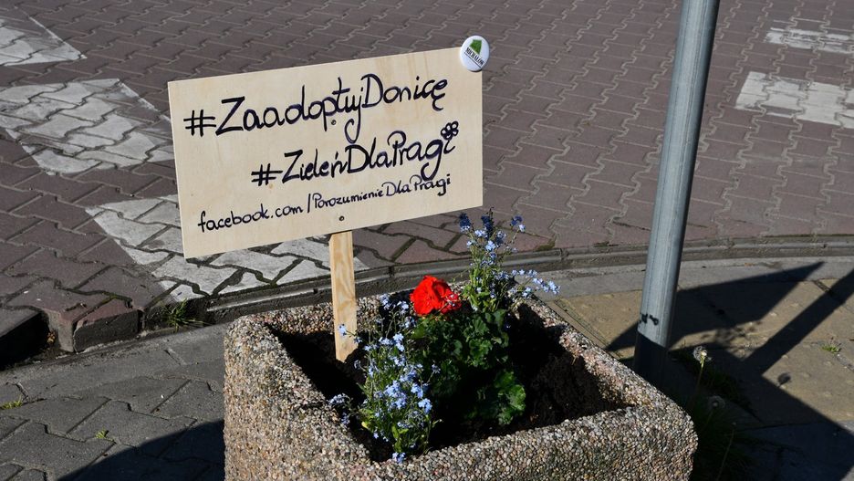 Porozumienie Dla Pragi zorganizowało sąsiedzkie sadzenie roślin m.in. w zapomnianych donicach na Skwerze Żurowskiego oraz na Szmulkach (fot. "Dla Pragi")