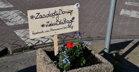 "Zaadoptuj donicę". Świetna inicjatywa na warszawskiej Pradze