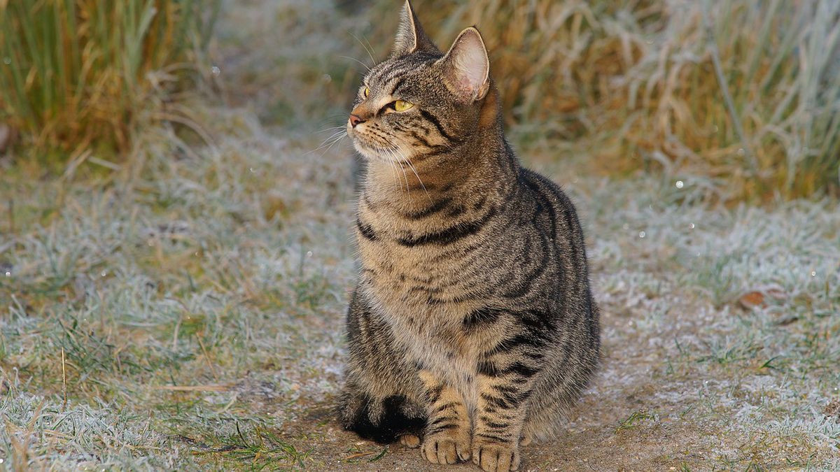 Zdjęcie ilustracyjne