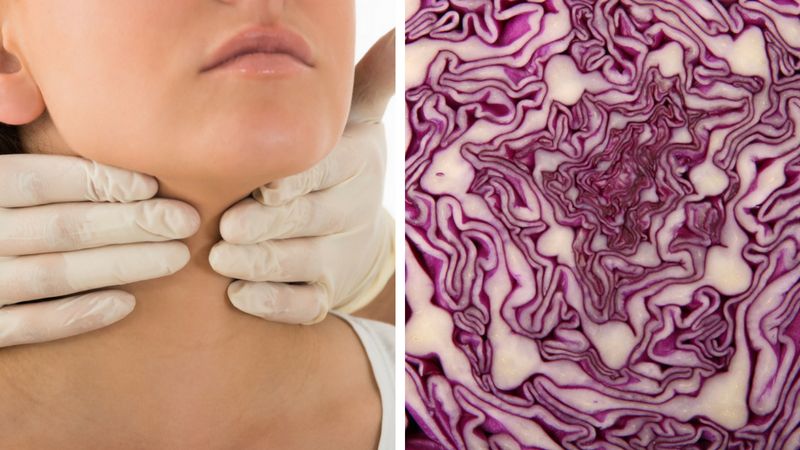 Tarczyca to ważny narząd w naszym organizmie