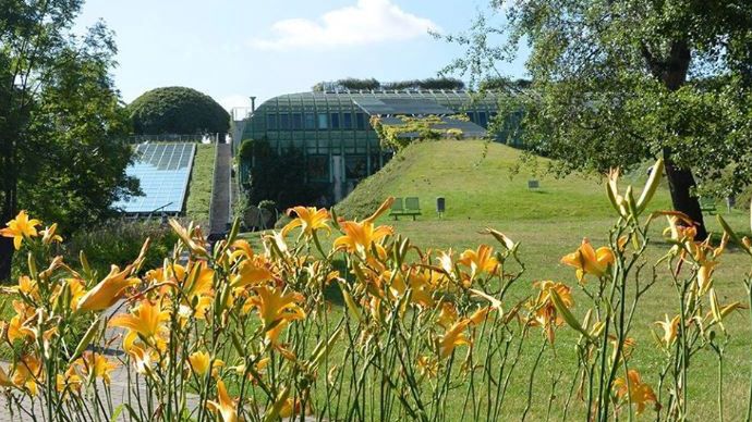 Koronawirus w Warszawie. Ogrody na dachu BUW znowu otwarte