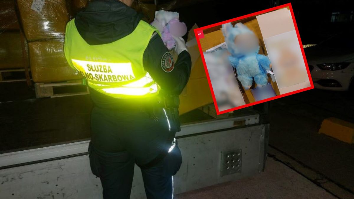Celnicy przejęli podrabiane maskotki Labubu warte prawie 3 mln z