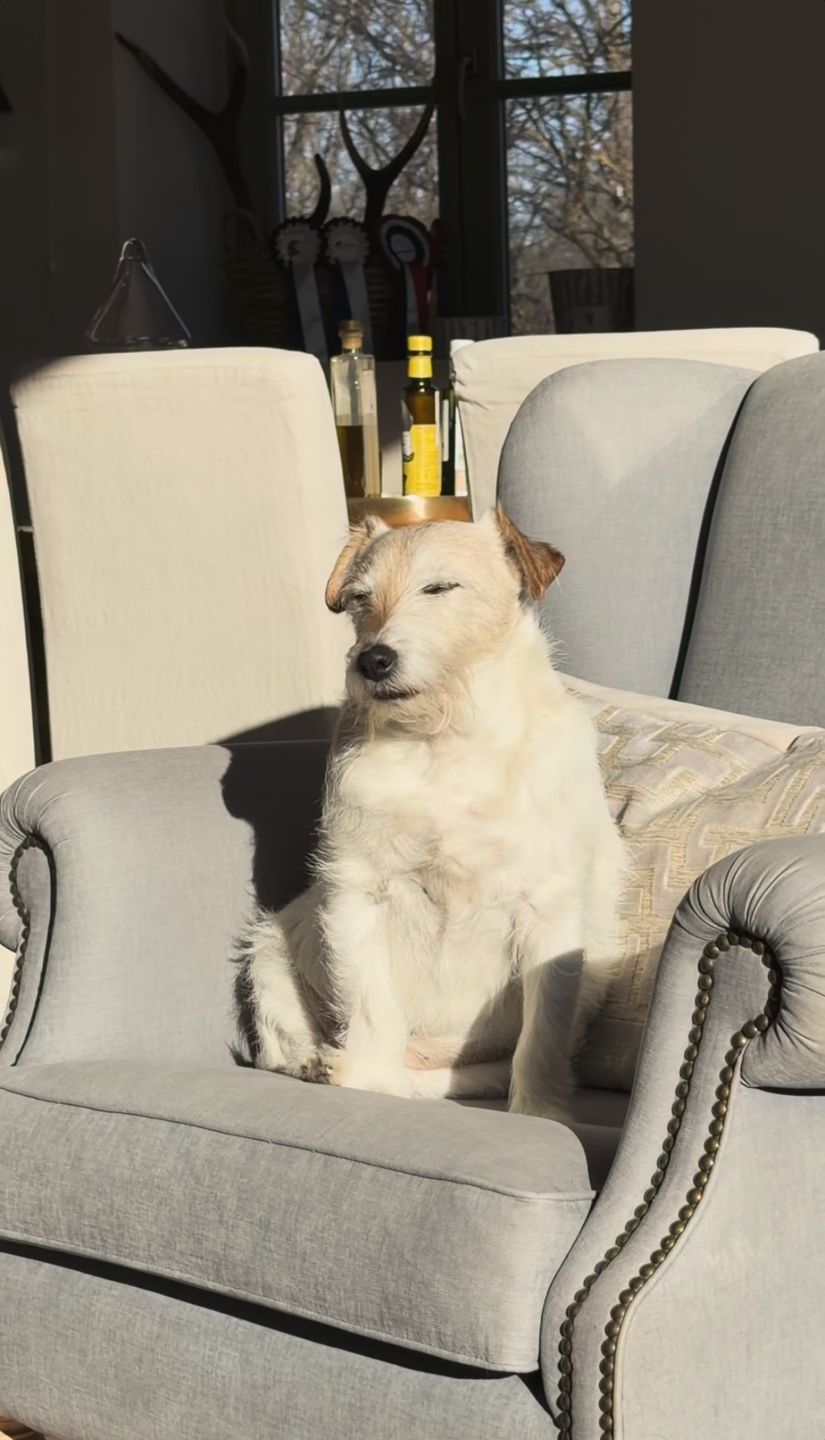 Tak mieszka Agnieszka Woźniak-Starak