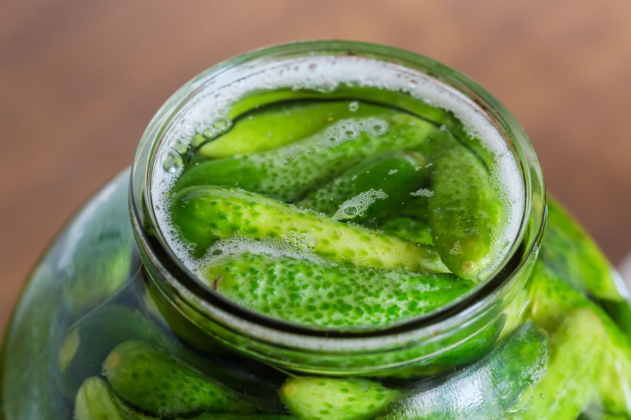 Lightly pickled cucumbers