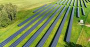 Gliwice: Ruszyła budowa gigantycznej farmy solarnej. "Będzie miała 37 tysięcy metrów kwadratowych powierzchni". Koszt? Prawie pół miliarda