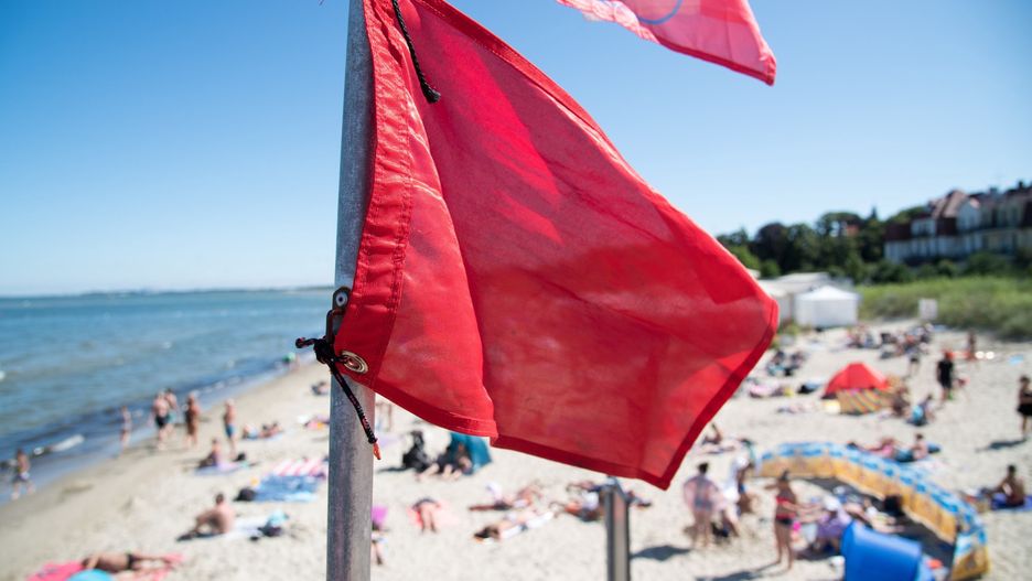 Kąpielisko Gdynia Redłowo jest nieczynne z powodu zakwitu sinic