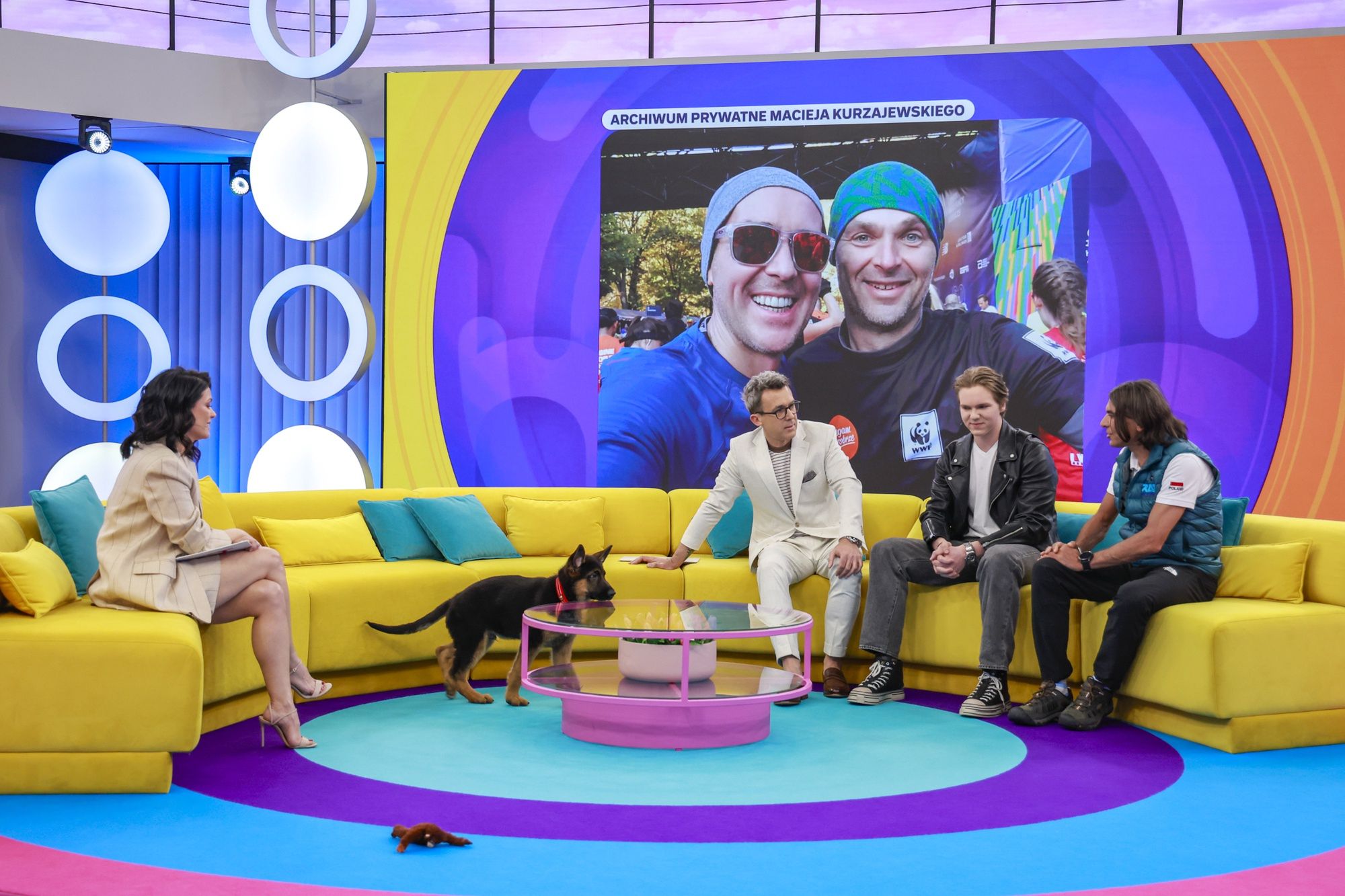 Katarzyna Cichopek, Maciej Kurzajewski, Julian Kurzajewski, Robert Szych