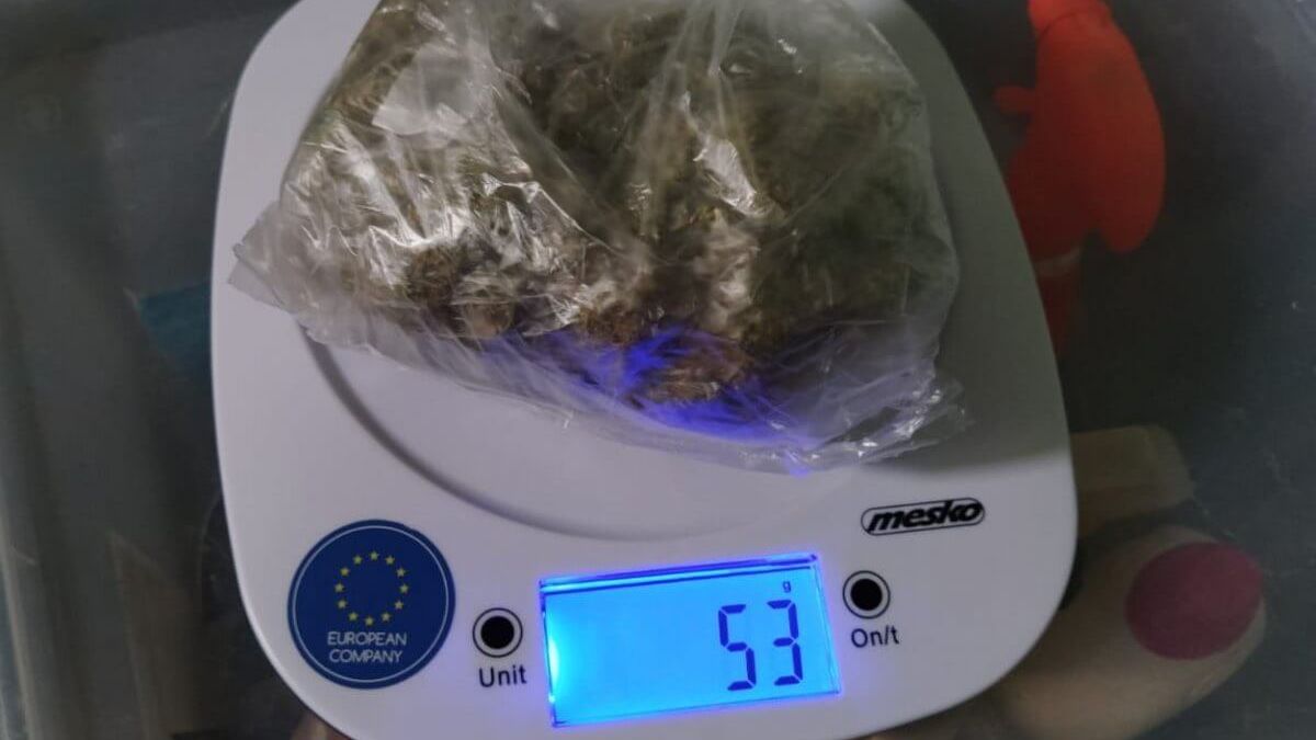 Narkotyki ujawnione u braci na terenie gminy Niemce