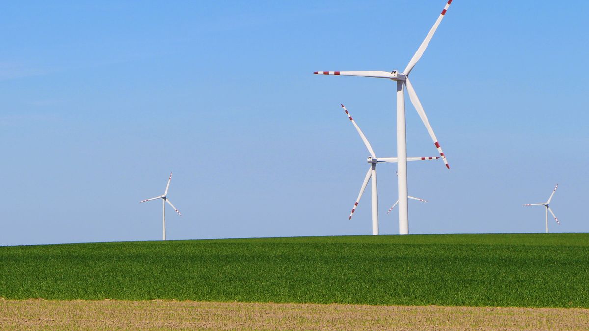 Energetyka wiatrowa w Polsce. Nowe farmy wiatrowe mogą przynieść nam korzyści