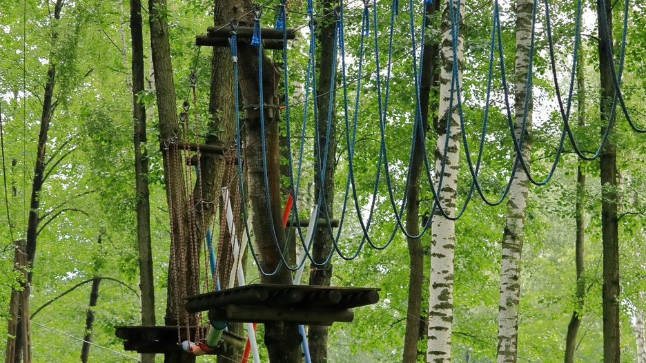 park linowy, rope park, sport, aktywny wypoczynek, krajobraz, park, lato, sosna, bagażnik, jary, gras, feuille, okolica, naturalny