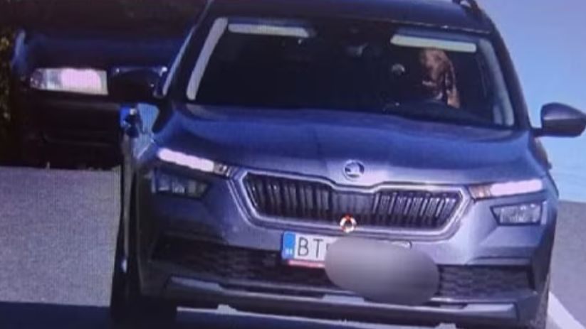 Pies za kierownicą auta musiał nieźle zdziwić policjantów