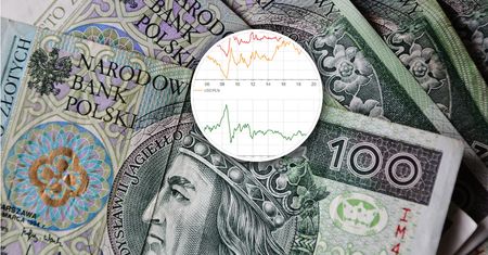 Złoty najsilniejszy w historii? Ekspert od funduszy inwestycyjnych tłumaczy co z siłą nabywczą