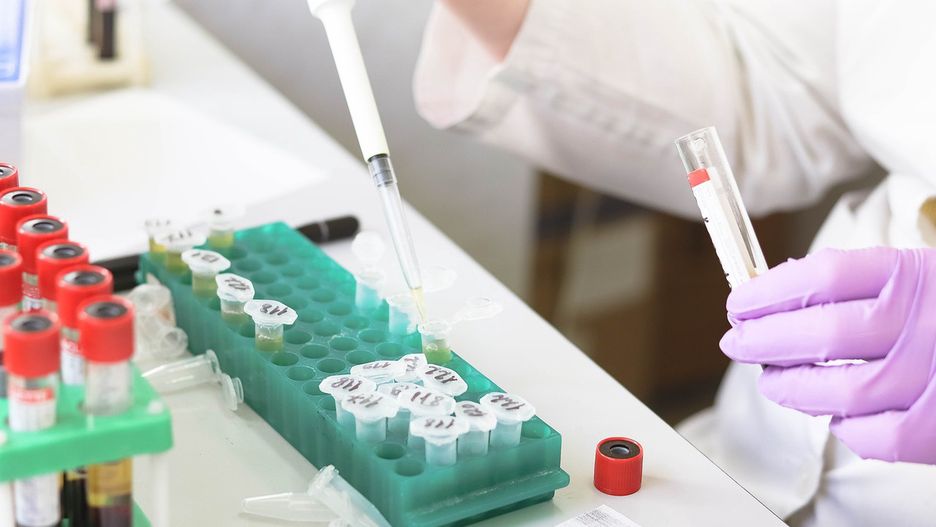 Zakażenie węglikiem w Hiszpanii? Wydano alert epidemiczny