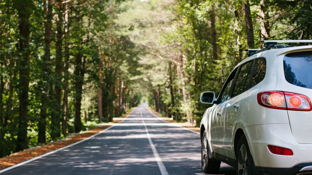 Zdjęcie ilustracyjne do artykułu